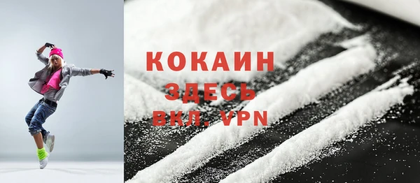 мдпв Верея