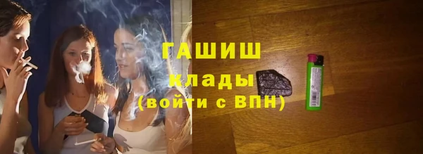 spice Богородск