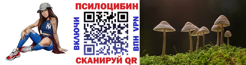 KRAKEN ONION  Велиж  Псилоцибиновые грибы мицелий 